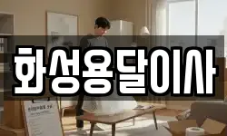 화성용달이사