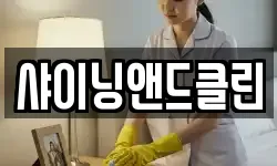 샤이닝앤드클린