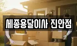 세종용달이사 진안점