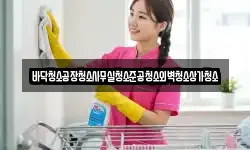 바닥청소공장청소사무실청소준공청소외벽청소상가청소