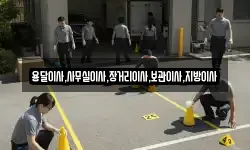 용달이사,사무실이사,장거리이사,보관이사,지방이사
