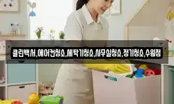 클린백서,에어컨청소,세탁기청소,사무실청소,정기청소,수원점