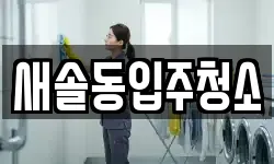 새솔동입주청소