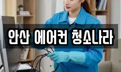 안산 에어컨 청소나라