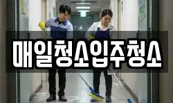 매일청소입주청소