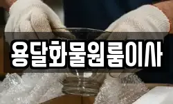 용달화물원룸이사