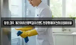 삼성,대우,캐리어시스템벽걸이스탠드천장형에어컨청소업체비용