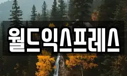 월드익스프레스