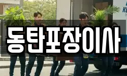 동탄포장이사