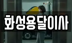 화성용달이사