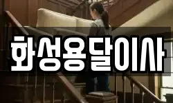 화성용달이사
