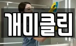 개미클린