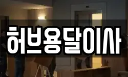 경기도 화성시 장지동 이사,용달이사,포장이사,원룸이사,보관이사