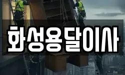 화성용달이사