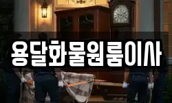 용달화물원룸이사