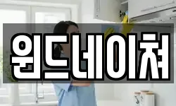 윈드네이쳐