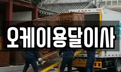 오케이용달이사