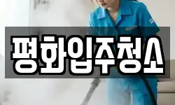 평화입주청소