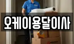 오케이용달이사