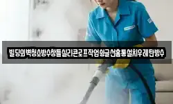 빌딩외벽청소방수창틀실리콘로프작업슁글선홈통설치우레탄방수
