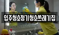 입주청소정기청소쓰레기집