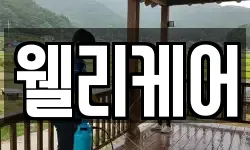웰리케어