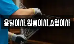 용달이사,원룸이사,소형이사