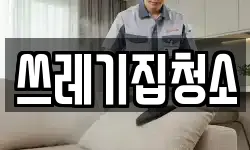 쓰레기집청소
