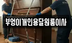 부엉이개인용달원룸이사