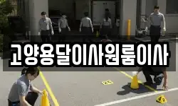 고양용달이사원룸이사