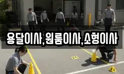 용달이사,원룸이사,소형이사