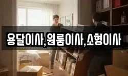 용달이사,원룸이사,소형이사