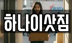 하나이삿짐