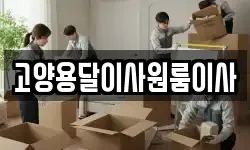 고양용달이사원룸이사