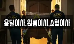 용달이사,원룸이사,소형이사