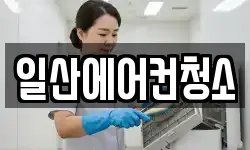일산에어컨청소