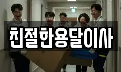 친절한용달이사