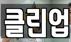 클린업