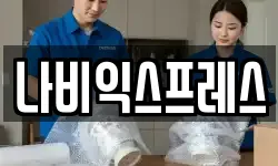나비익스프레스