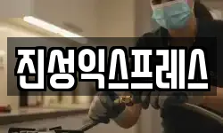 진성익스프레스