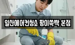 일산에어컨청소 팡이쓱싹 본점