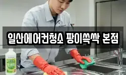 일산에어컨청소 팡이쓱싹 본점