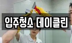 입주청소 데이클린