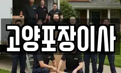 고양포장이사