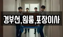 경부선,원룸,포장이사