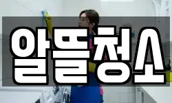 알뜰청소
