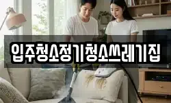 입주청소정기청소쓰레기집