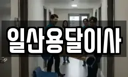 일산용달이사