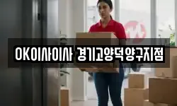 OK이사이사 경기고양덕양구지점