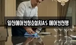 일산에어컨청소설치AS 에어컨선생